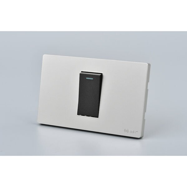 Interruptor Simple 9/12 G+N - Want