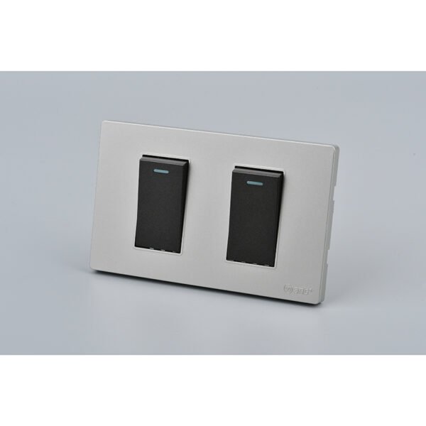 Interruptor Doble 9/15 G+N - Want